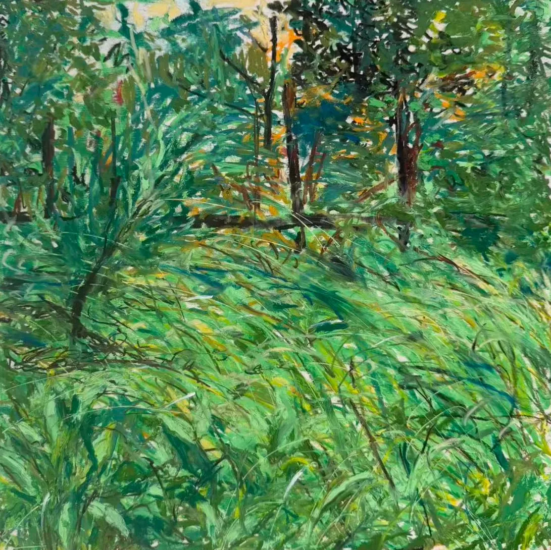 Dense green undergrowth and slender tree trunks, with orange light breaking through the leaves.