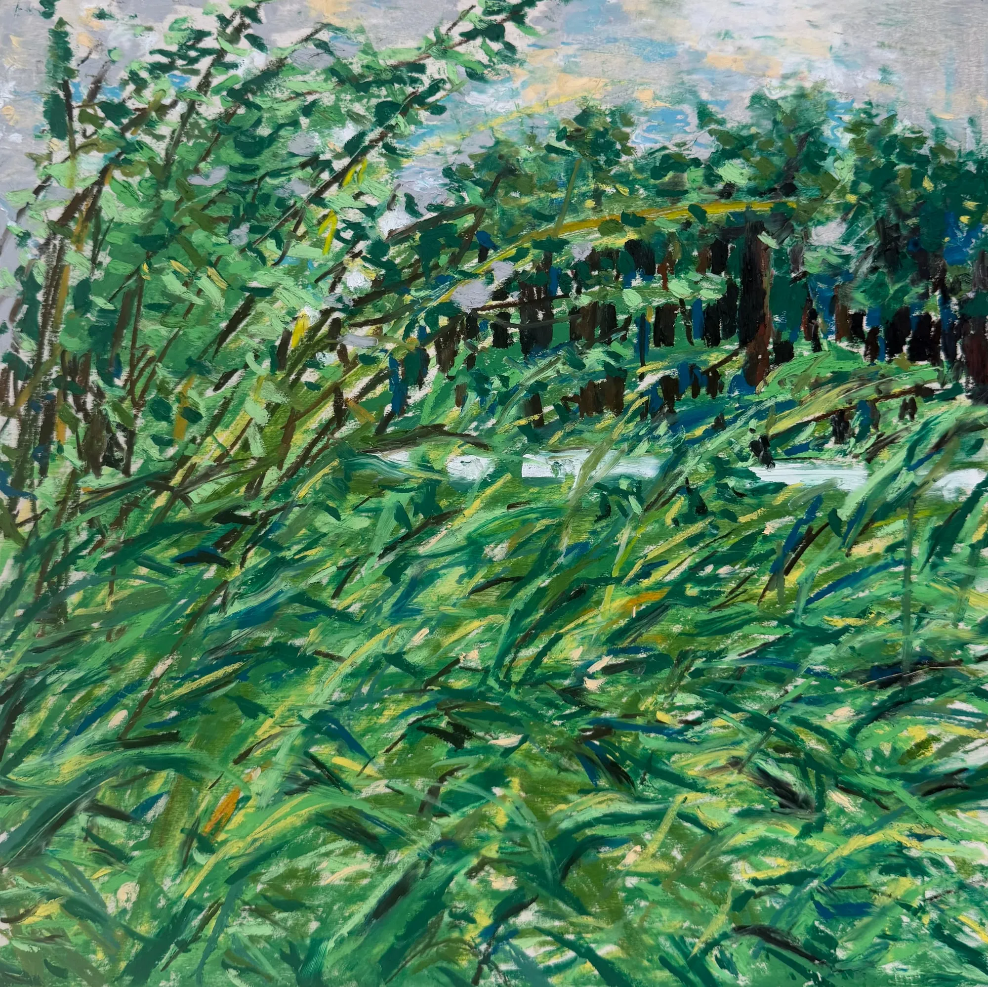 Tall grass and saplings bent by wind, a dark line of trees and a strip of pale water behind them, under a grey-blue sky.